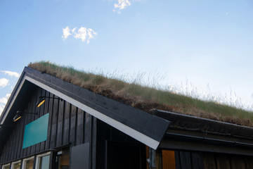 Obraz premium cozy wooden house with green grass on roof against blue sky, Besseggen ridge, Jotunheimen National Park, Norway
