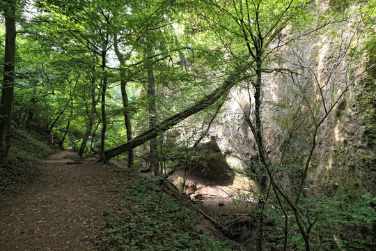 Landscape while hiking within the Wolfsschlucht (engl. Wolf gorge) in Eifel region at Germany.