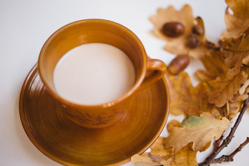 autumn decoration of Cup of tea, yellow oak leaves, Rowan berries on white background, copy space