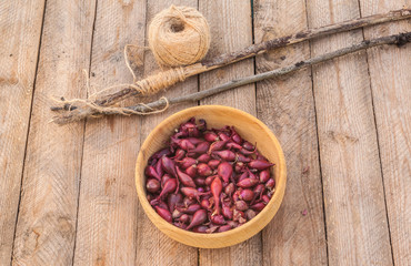 Bowl with a small onion for planting   on a wooden table
