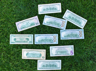 American dollars in the grass
