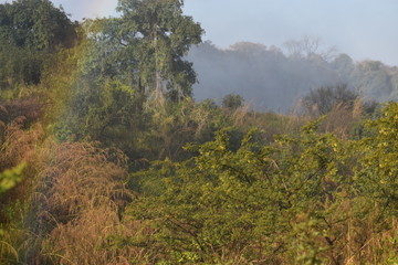 Obraz premium Way to Victoria Falls