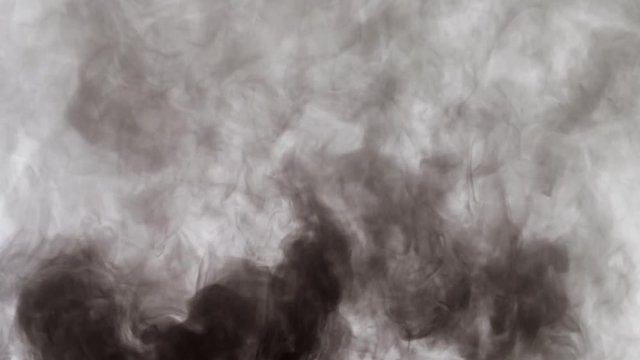 Thick smoke curling over white background. Environmental pollution. Intro for logo.