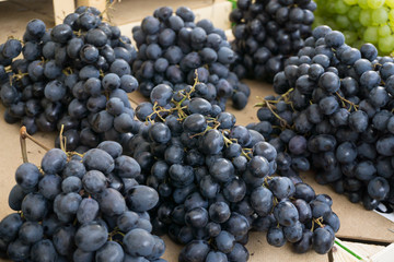 Fresh vegetables on stands of market in autumn