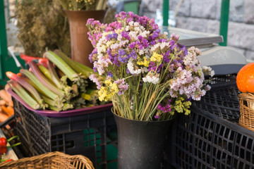 Fresh vegetables on stands of market in autumn