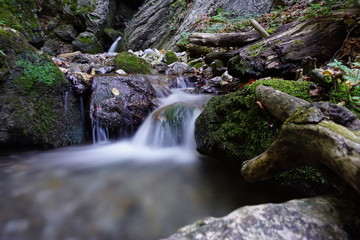 kleiner wasserfall im wald