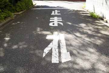 道路脇の停止線