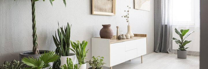 Ceramic and clay vases on a white, wooden cabinet with drawers and green plants in a gray living room interior with natural light