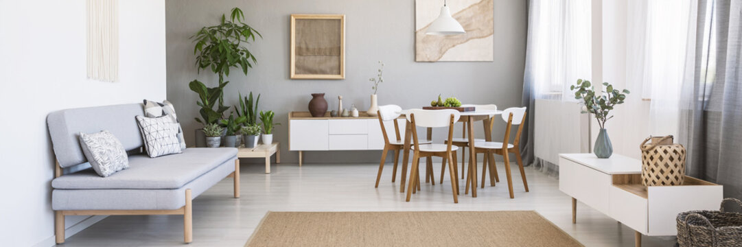 Panorama of a bright, spacious living and dining room interior with white, wooden furniture, gray sofa and plants