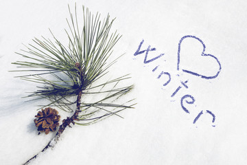 painted heart with an inscription winter on snow near a pine branch, toned background image
