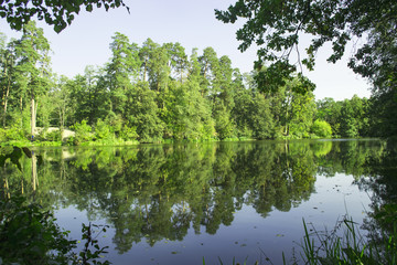 Fototapeta na wymiar Peaceful place in the park. A lake in forest landscape. 