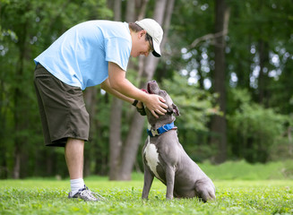 A person petting a gray and white Pit Bull Terrier mixed breed dog outdoors