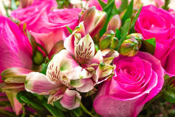 Fototapeta premium A bouquet of roses, pink flowers, a blessed bouquet
