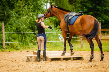 Jockey young woman getting horse ready for ride