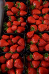 Bright red strawberries  in black boxes