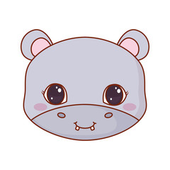 cute face hippo cartoon animal