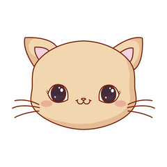 cute face kitty cartoon animal