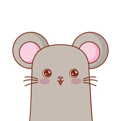 cute mouse portrait cartoon animal