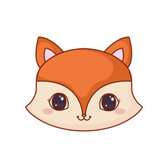 cute face fox cartoon animal