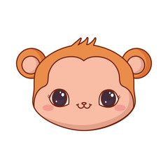 cute face monkey cartoon animal