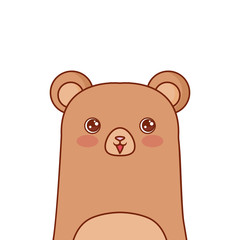 cute bear portrait cartoon mammal