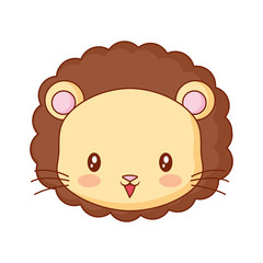 cute face lion cartoon animal