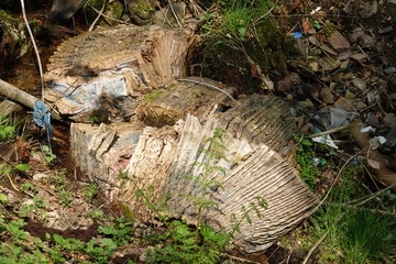 Obraz premium Wilde Müllkippe im Wald - Verbotene Entsorgung