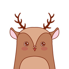 cute deer portrait cartoon wildlife