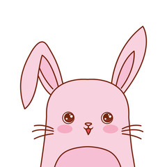 cute rabbit portrait cartoon wildlife