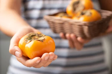 Papier Peint photo Fruits Ripe persimmon fruit holding by woman hand