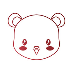 cute face bear cartoon animal