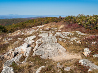 Fall color at High Point State Park, New Jersey