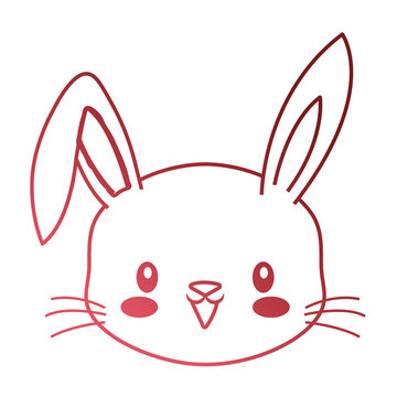 cute face rabbit cartoon animal