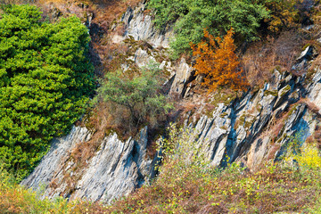 Beautiful and colorful autumn along the rhine river, Germany