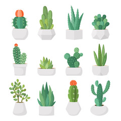 Cartoon colorful cactus and succulents in pots vector set. Decirative flowers and plants. Isolated icons illustration