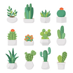 Cartoon colorful cactus and succulents in pots vector set. Decirative flowers and plants. Isolated icons illustration