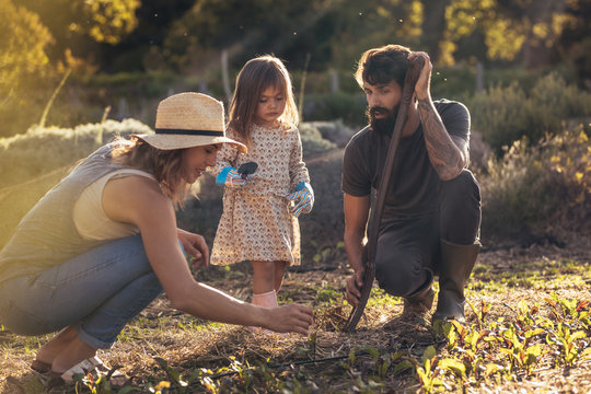 Young Family Working Together In Their Farm