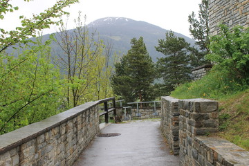 Fototapeta premium nature