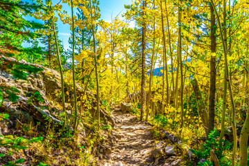 Colorful Fall Hike in the Rocky Mountains in Colorado