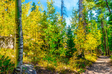 Obraz premium Colorful Fall Hike in the Rocky Mountains in Colorado