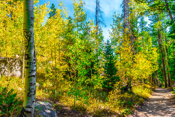 Colorful Fall Hike in the Rocky Mountains in Colorado