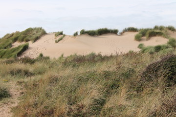 Fototapeta na wymiar sand dunes at the beach