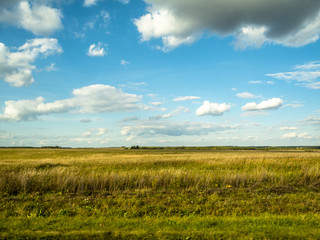 Obraz premium Green field and blue sky.