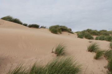 Fototapeta na wymiar sand dunes at the beach