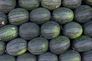 Group of watermelon