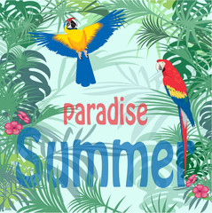colorful parrots in jungle leaves, cartoon vector illustration © Irina