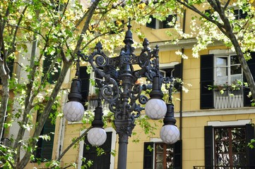 Palma