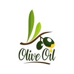 Green Olive Oil Fruit Yellow Drop with Hand drawn Text