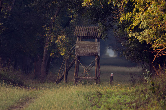 Autumn nature with a hunting tower on a field