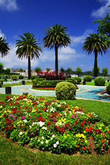 Fototapeta premium View of the famous Santander resort in Cantabria, Spain, Europe